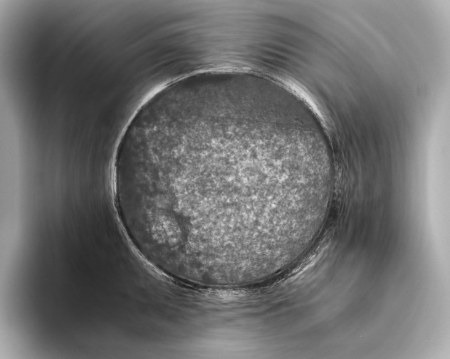 X0000093531095200711021306