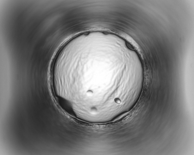 X0000093531096200711021306