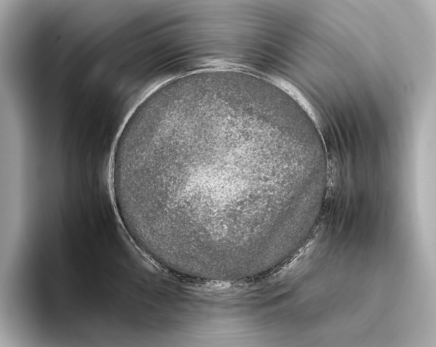 X0000093531098200711021306