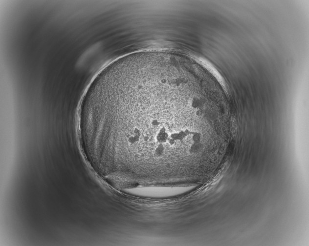 X0000093531099200711021306