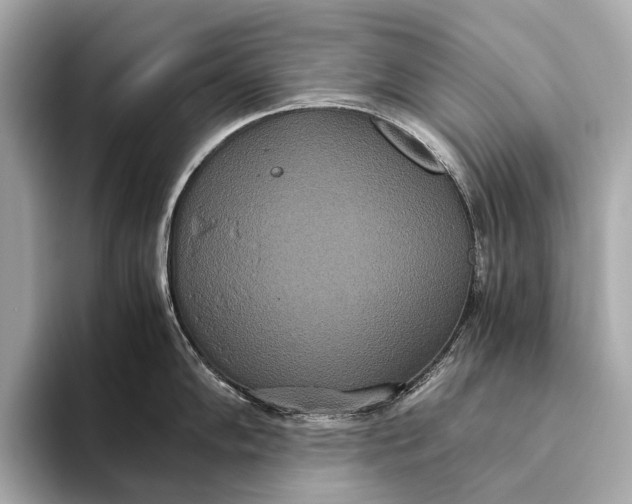 X0000093531102200711021306