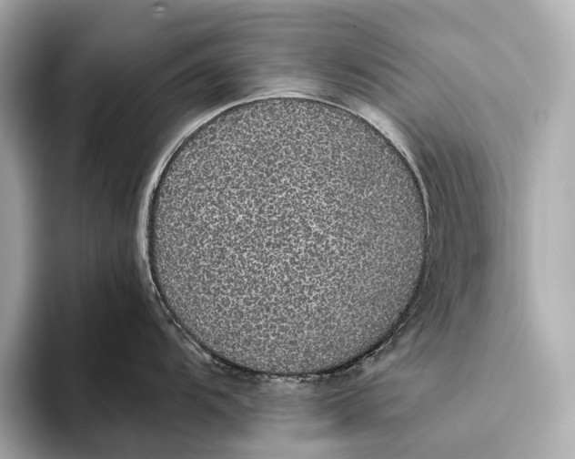 X0000093531104200711021306