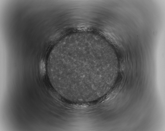 X0000093531106200711021305