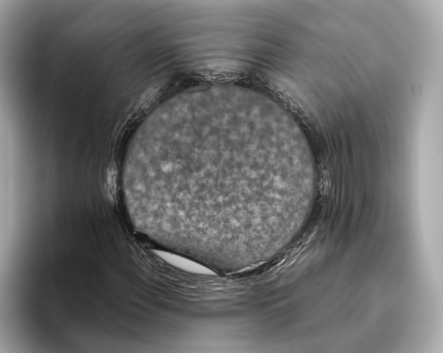 X0000093531108200711021305