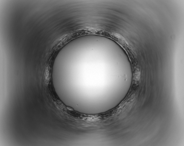 X0000093531110200711021305