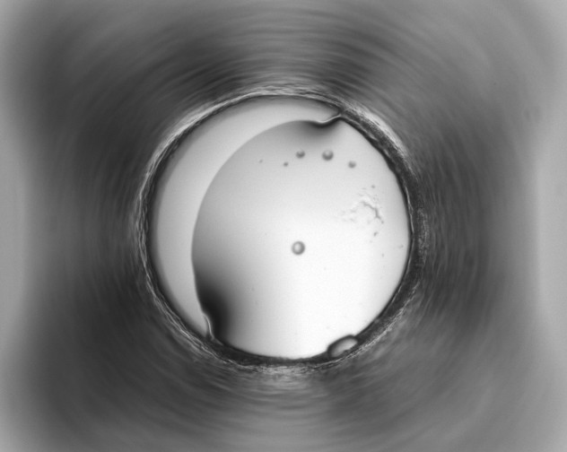 X0000093531114200711021305