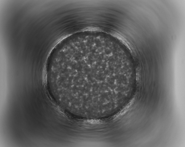 X0000093531117200711021305