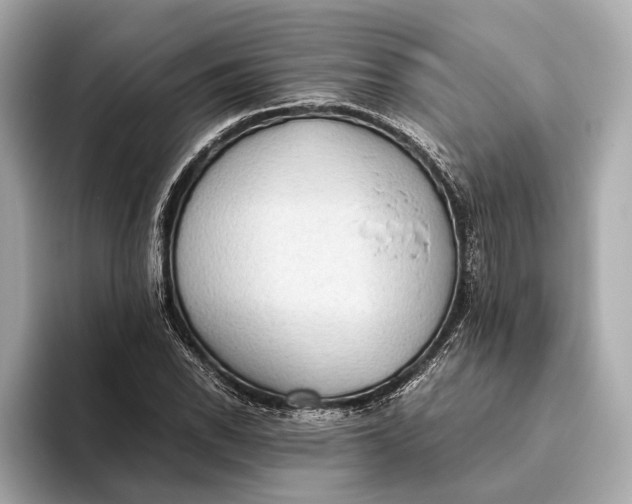 X0000093531118200711021305