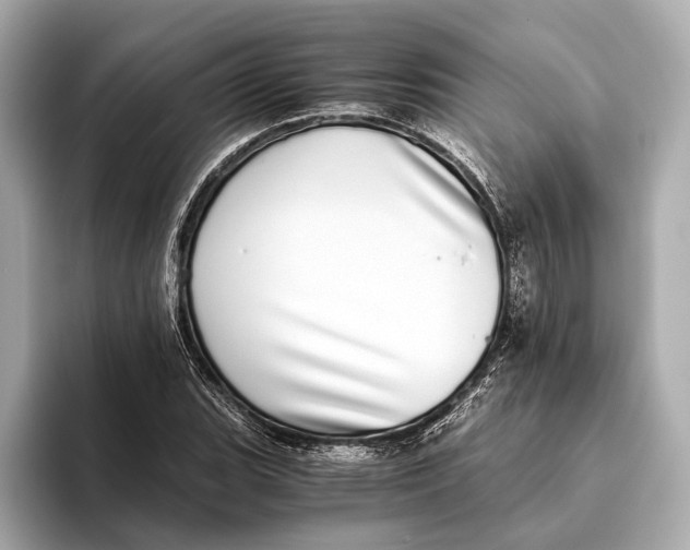 X0000093531119200711021305