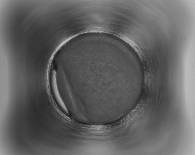 X0000093531120200711021305