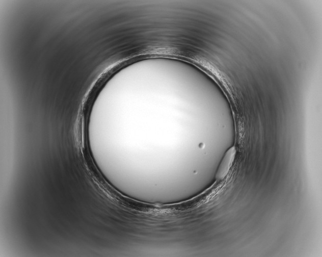 X0000093531123200711021306