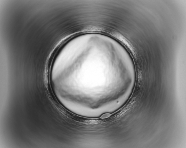 X0000093531124200711021306