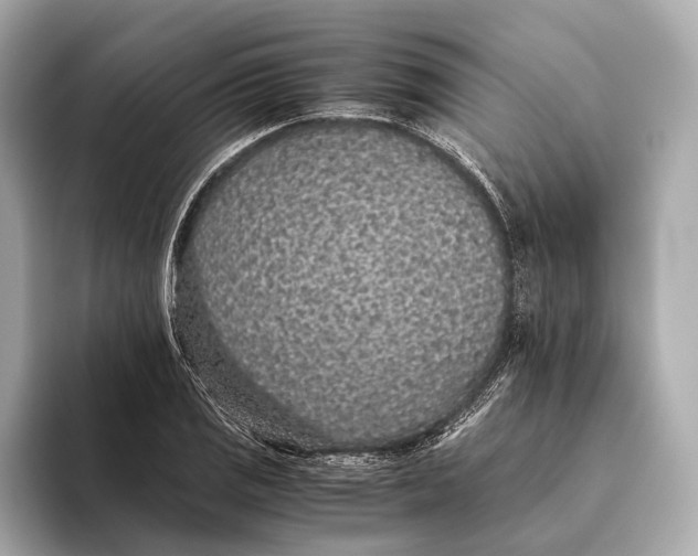 X0000093531125200711021306