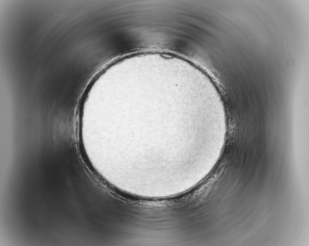 X0000093531126200711021306