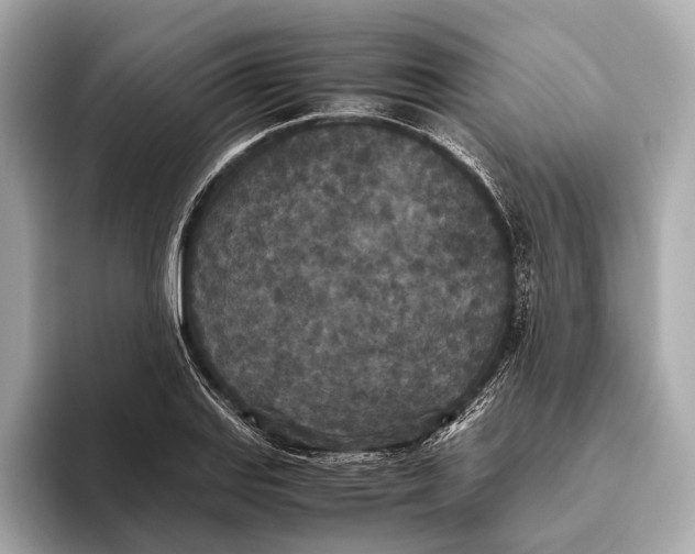 X0000093531127200711021306