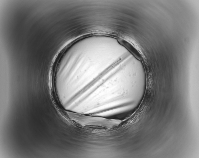 X0000093531128200711021306