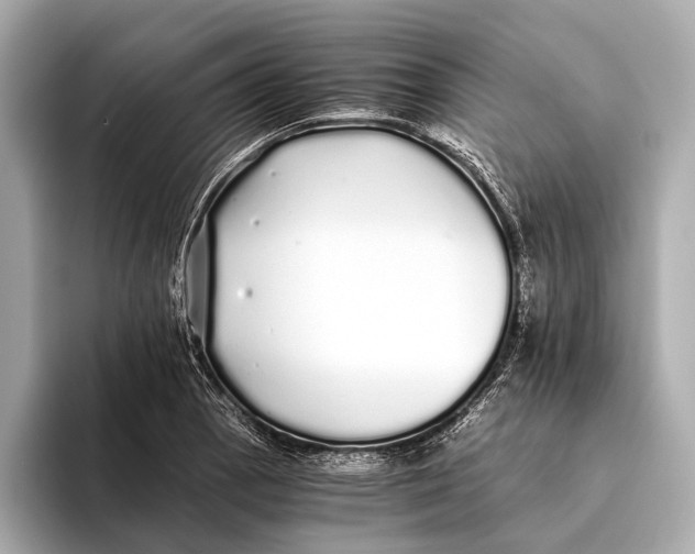 X0000093531129200711021306