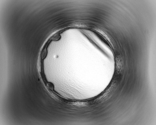 X0000093531131200711021306