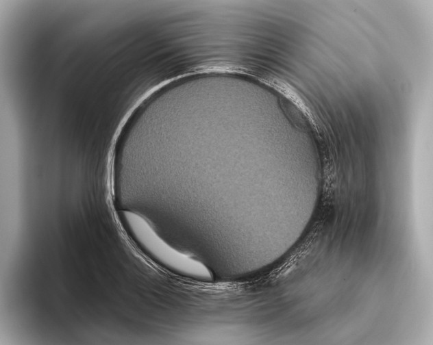 X0000093531132200711021306