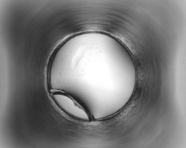 X0000093531134200711021306