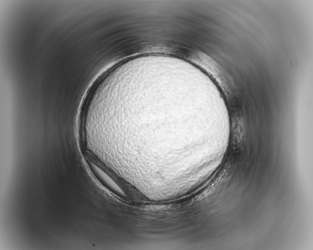 X0000093531135200711021306