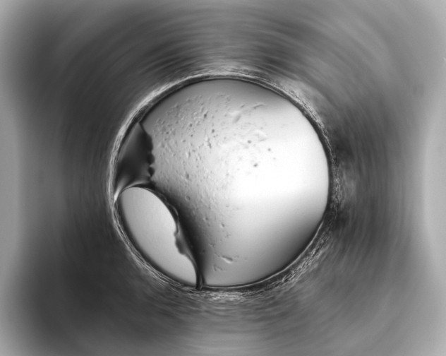 X0000093531136200711021306