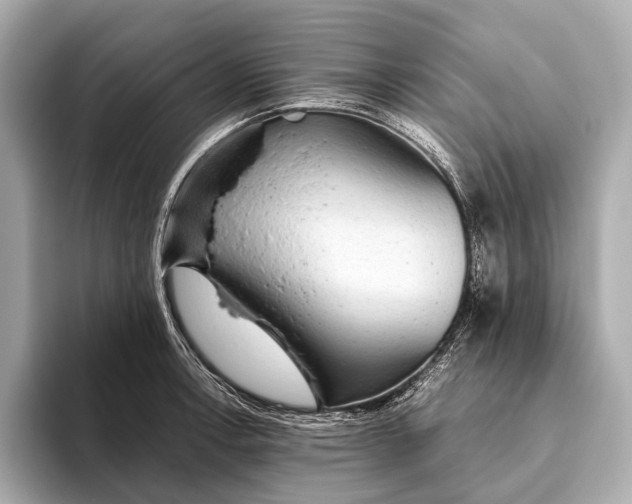 X0000093531138200711021306