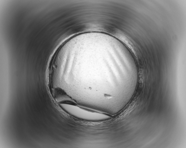 X0000093531140200711021306