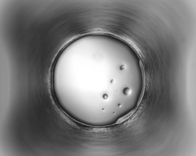 X0000093531142200711021306