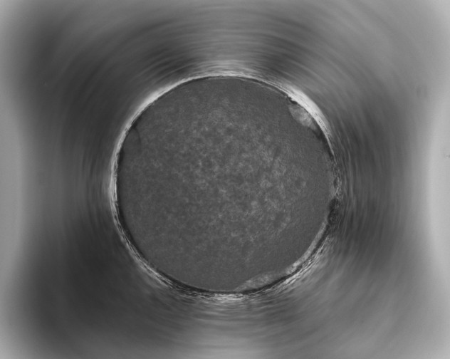 X0000093531144200711021306