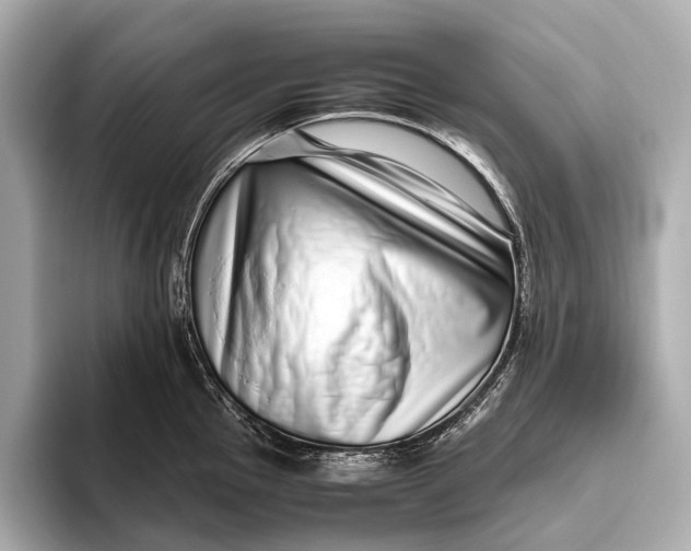 X0000093531145200711021306