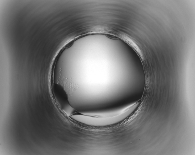 X0000093531146200711021306