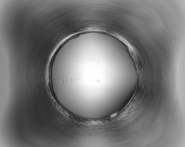 X0000093531148200711021306