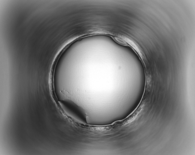 X0000093531149200711021306