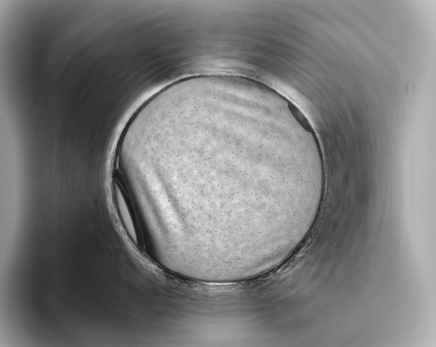 X0000093531152200711021306