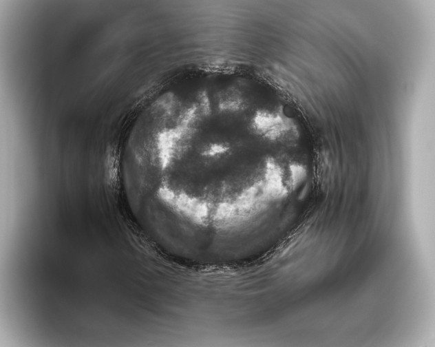 X0000093531154200711021305