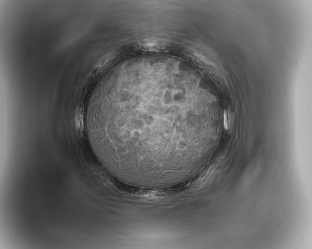 X0000093531155200711021305