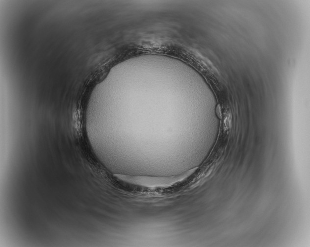 X0000093531156200711021305