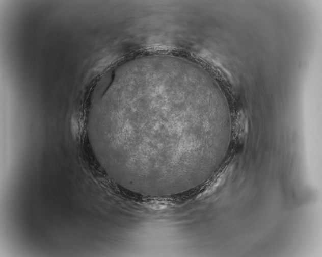 X0000093531157200711021305