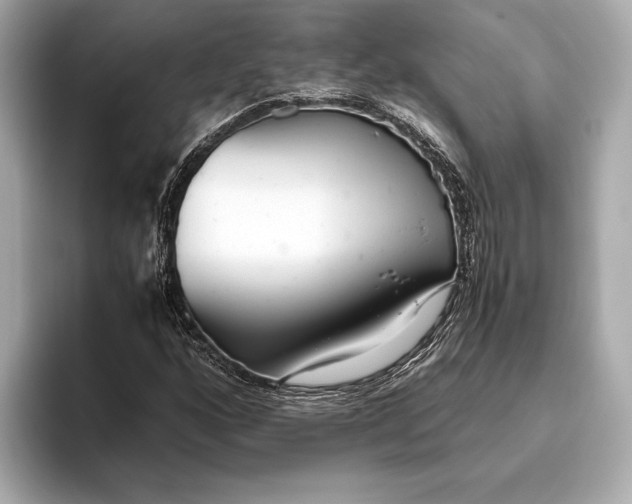 X0000093531160200711021305