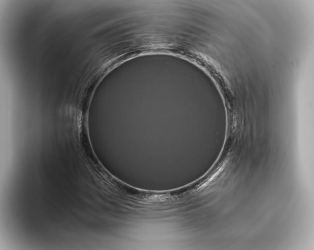 X0000093531161200711021305