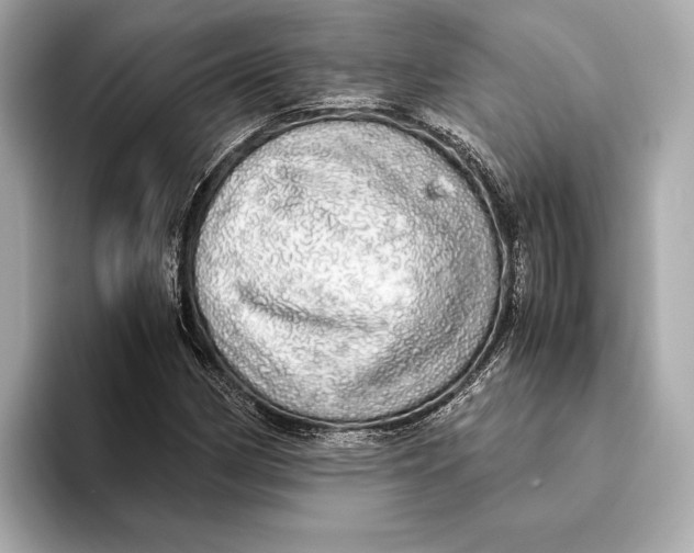 X0000093531162200711021305