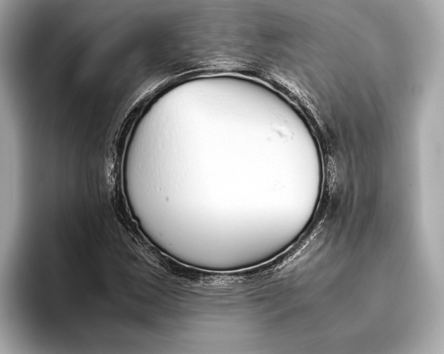 X0000093531163200711021305