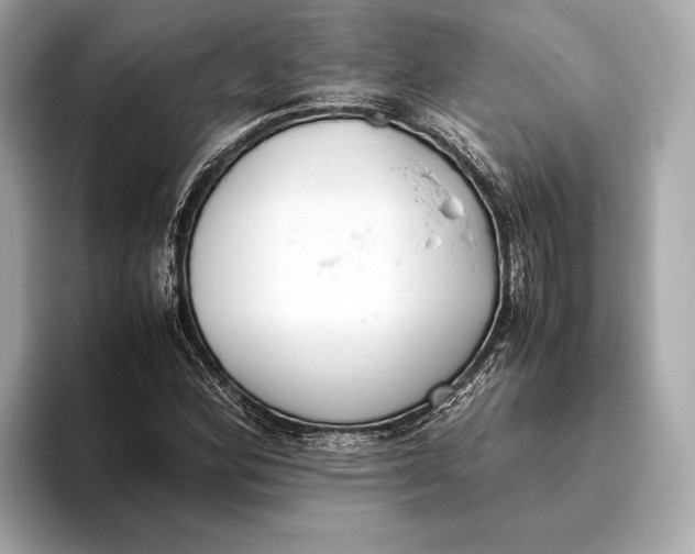 X0000093531164200711021305