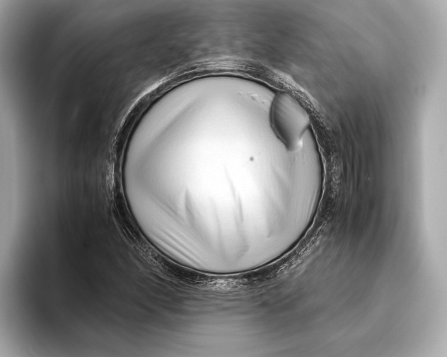 X0000093531166200711021305