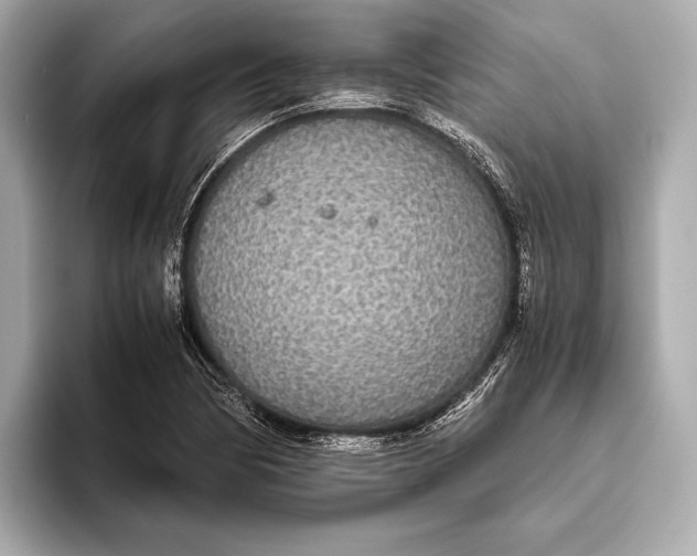 X0000093531170200711021305