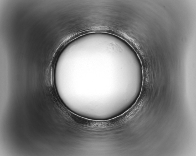 X0000093531171200711021305