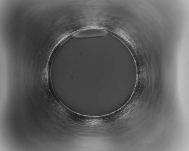 X0000093531173200711021305