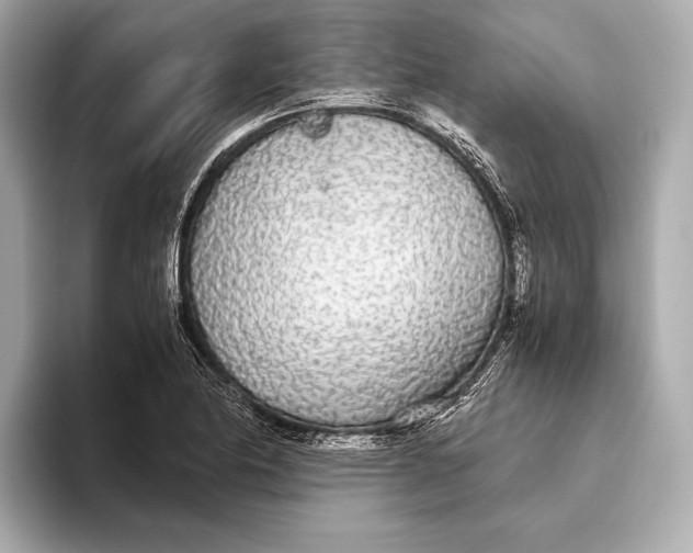 X0000093531174200711021305