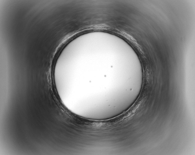 X0000093531176200711021305